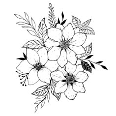 a bouquet of flowers with leaves and buds on a white background in black and white