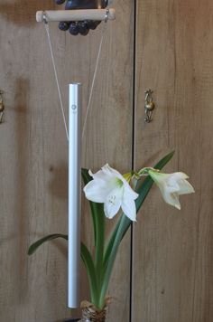 a vase with flowers in it sitting on a table next to a wall mounted clock