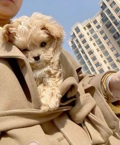 a woman holding a small dog in her lap while wearing a coat and looking at the camera