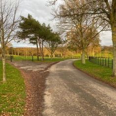 a dirt road with trees and grass on both sides