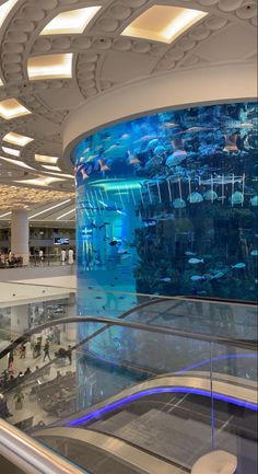 an aquarium in the middle of a mall