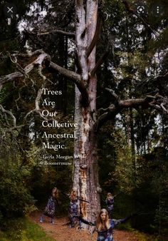 two girls standing next to a tree in the woods with words on it that say, trees are our collective