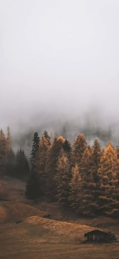 a car is parked in the middle of a field with trees and fog behind it