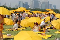 many people are sitting on the grass with yellow umbrellas over their heads and feet