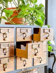 an assortment of drawers with plants in the background on a shelf next to a potted plant