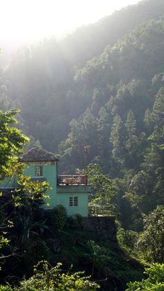 a white house sitting on top of a lush green hillside covered in trees and bushes