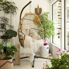 a room filled with lots of potted plants next to a window and a hanging chair