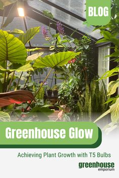 a greenhouse with plants growing in it and the words greenhouse glow above them are green house plants