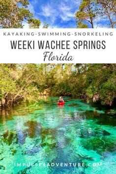 kayaking - swimming - snorkeling in the weeki waheee springs, florida