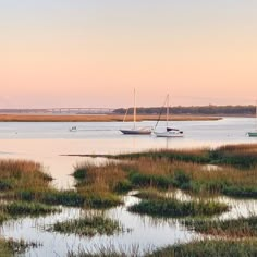 two sailboats floating on the water near marshy grass and reeds at sunset