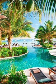 an outdoor swimming pool with lounge chairs and palm trees in front of the beachfront