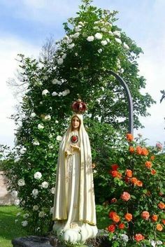 a statue of the virgin mary is in front of roses and a tree with white flowers