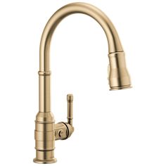 the kitchen faucet is shown in gold with an angled spout and side spray