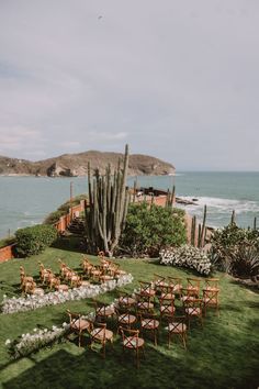 an outdoor wedding setup with wooden chairs and succulents on the lawn by the ocean