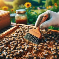 a person with a brush on top of a beehive filled with honeybees