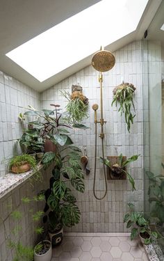 an indoor shower with plants in it and a skylight over the bathtub area