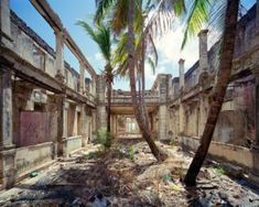 an abandoned building with palm trees in the foreground and trash strewn on the ground