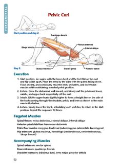 an image of the pelvicc curl and its corresponding parts in this manual