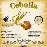 the label for cebola