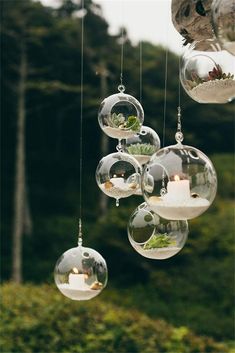 hanging glass balls filled with plants and candles