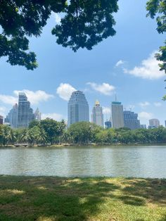 the city skyline is seen from across the lake in front of some trees and grass