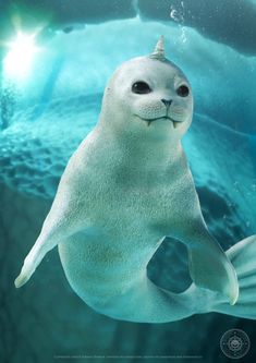 an image of a seal in the water