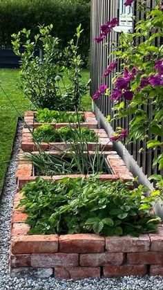 a garden filled with lots of plants next to a wooden fence and purple flowers in the middle