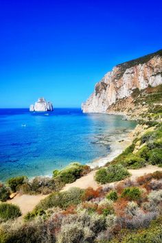 the beach is surrounded by green bushes and blue water with white cliffs in the background