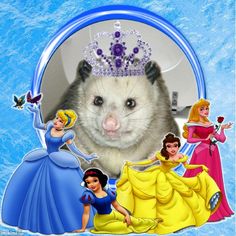 an animal with princesses around it's face and the caption that says,