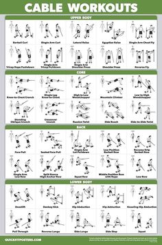 an exercise poster showing the different exercises to do for your body and shoulders, with instructions on