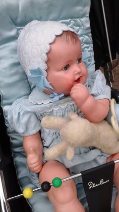 a baby doll sitting in a stroller with a stuffed animal on it's lap