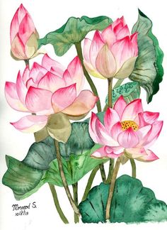 watercolor painting of pink flowers and green leaves