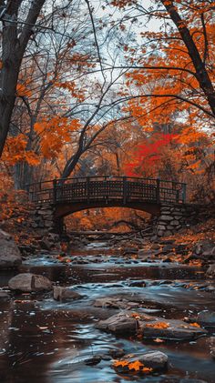 a bridge over a stream surrounded by trees with orange leaves on it and rocks in the foreground