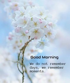 a white flower with the words good morning on it