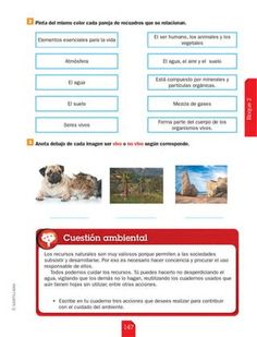 an image of a dog and cat in spanish