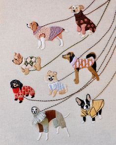 there are many different dogs on the rope