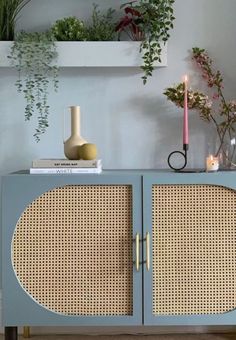 a blue cabinet with wicker doors and plants on the top shelf next to it