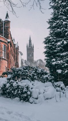 snow covers the ground and trees in front of a brick building with a clock tower