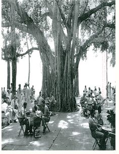 an old black and white photo of people sitting at picnic tables under a large tree