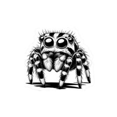 a black and white drawing of a spider with big eyes on it's face