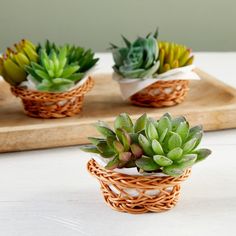 three small succulents in wicker baskets sitting on a cutting board next to each other