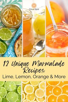 lemon, orange and lime marmalade recipe collage