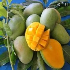 a bunch of fruit that is sitting on a blue table cloth with green leaves around it