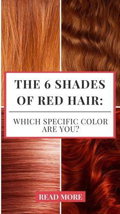 Redhead Going Grey, Shades Of Red Hair Chart, Copper Vs Auburn Hair, Red Hair Chart, Red Hair Shades Chart, Shades Of Red Hair Color Chart, Different Types Of Red Hair, Make Up For Ginger Hair