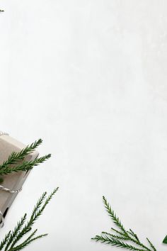 two wrapped presents on top of each other next to some green leaves and twine