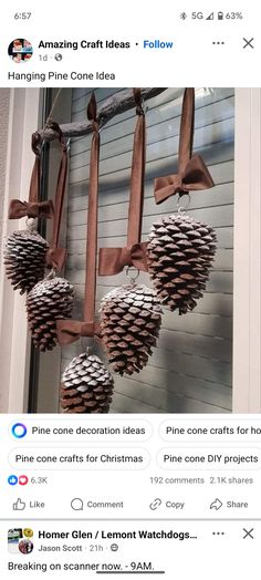 an image of pine cones hanging from the side of a building with ribbons on them