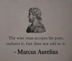 the wise man accepts his pain, endures it, but does not add to it