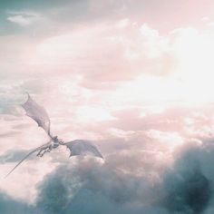 a bird flying in the sky above clouds