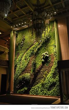 a green wall with plants growing on it