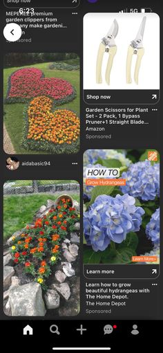 an image of flowers and plants in the garden with text overlays that reads, how to grow